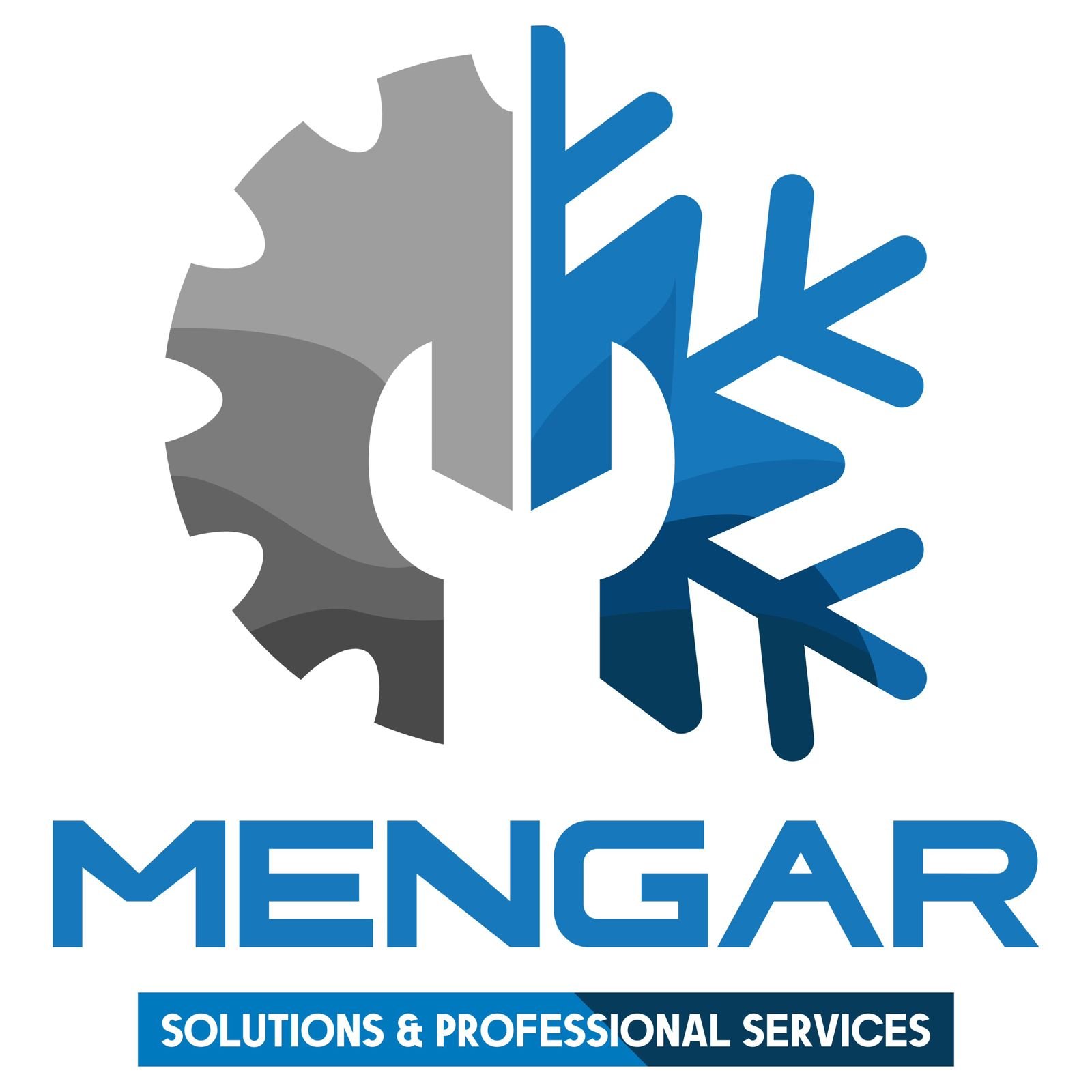 Mengar Solutions & Professional Services